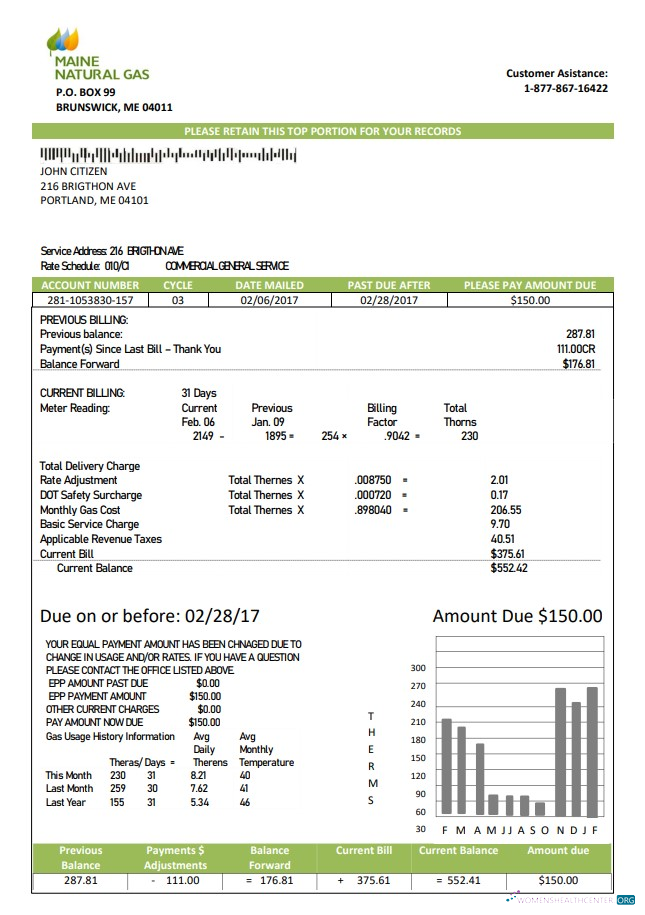 download USA Maine Natural Gas Portland utility bill template in Word and PDF format PDF template